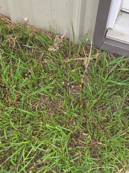 The message. Documented by the intended recipient's wife.